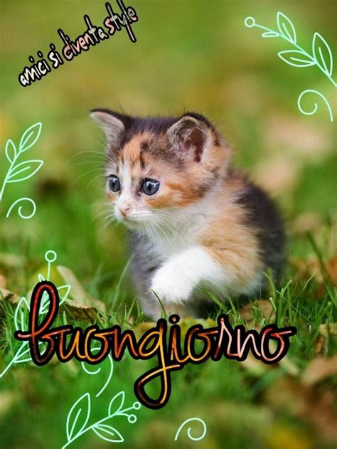 100 immagini buongiorno gif nuove|buongiorno animali simpatici.